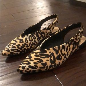 Joe’s Leopard Print Flats